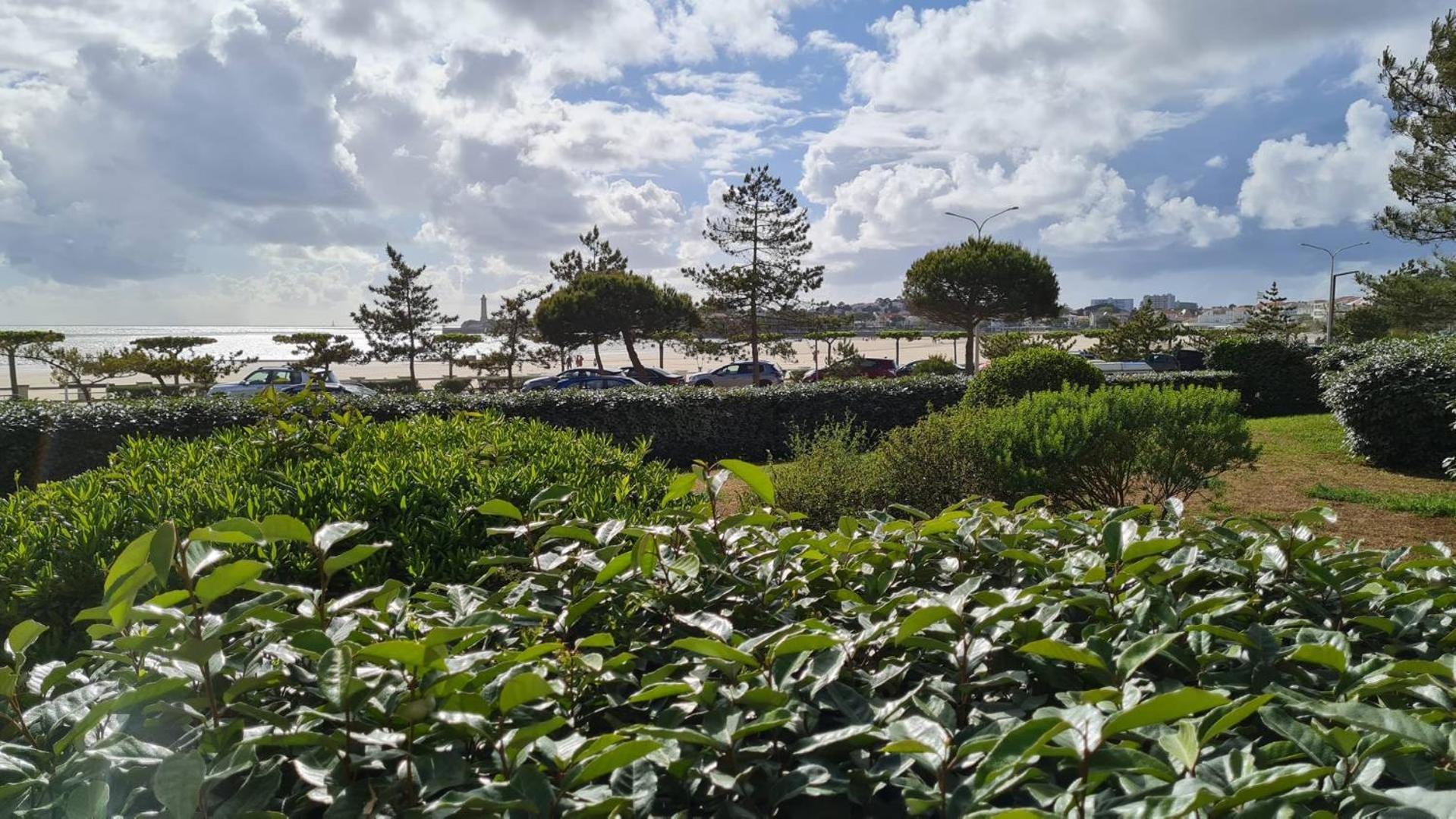 Saint Georges de Didonne - VUE MER pour ce STUDIO COSY en rez-de-chaussée Exterior foto